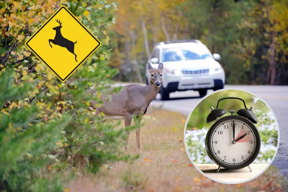 Hey NJ! DST Ending Means Be More Careful Driving During Rutting Season