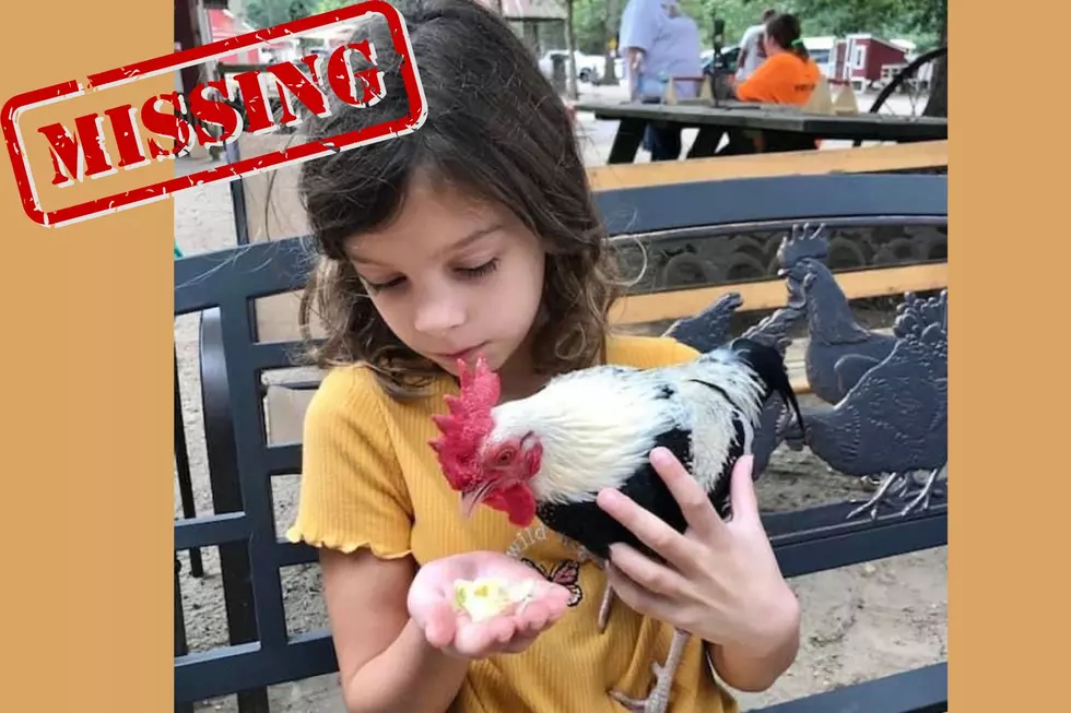 Have You Seen ‘Squiggy’? Reward For Beloved Mays Landing Rooster Ups to $2K