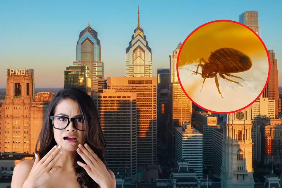 GROSS! Philadelphia Ranked #3 “Bed Bug City” in U.S. 2023!