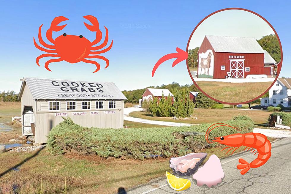 “Look for the Bull!” New Jersey’s Best Seafood Restaurant is Hidden Way Off The Beaten Path