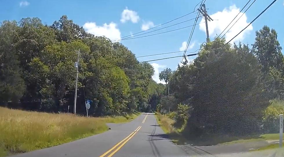 Gravity Hill in Titusville Is New Jersey’s Most Bizarre Roadway