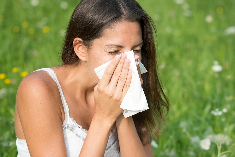 When Is The Worst Time Of Year For Allergies in NJ?