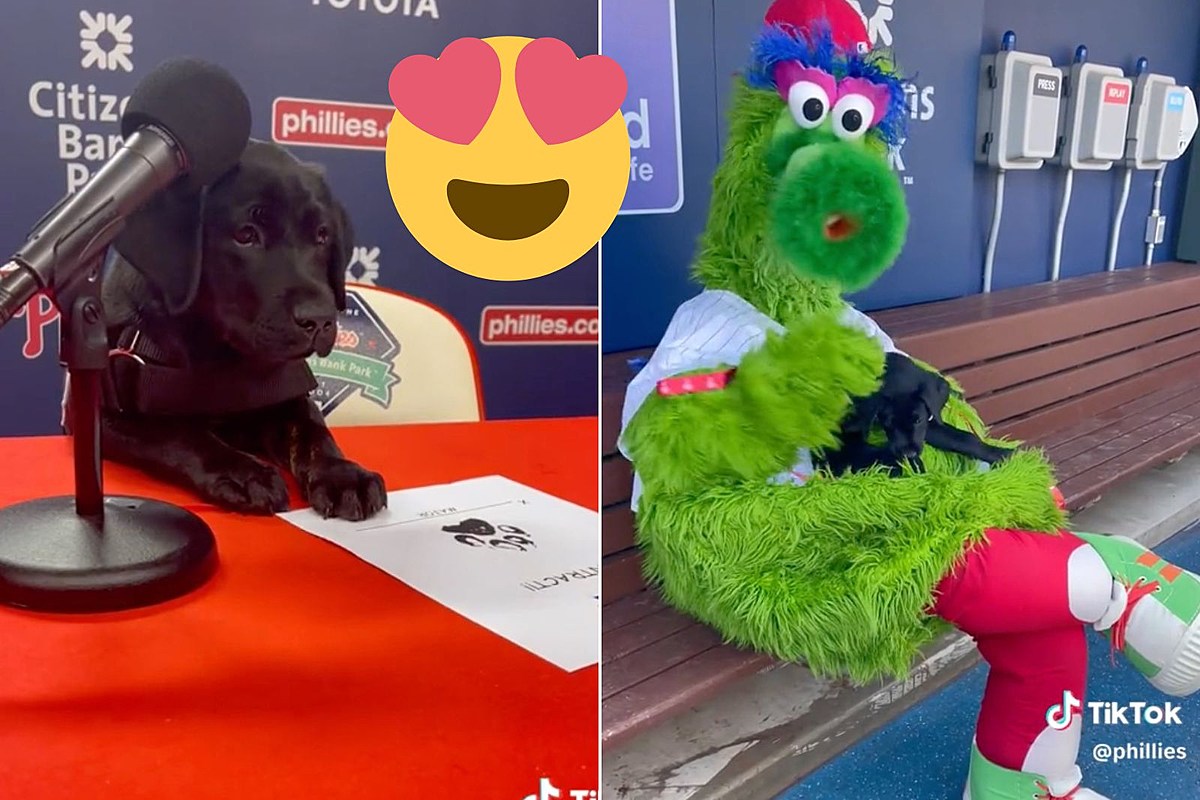 Philadelphia Phillies Debut Major Service Puppy in Training