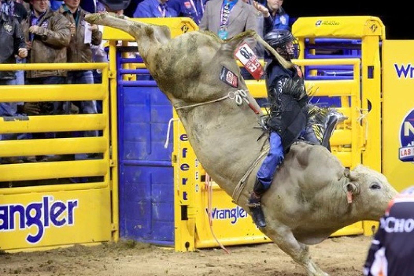 One of the Oldest Rodeos in America Is in New Jersey - The New