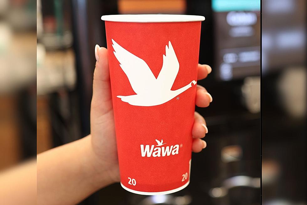 Wawa Day 2023 Free Coffee And Special Prize for "Day Brighteners