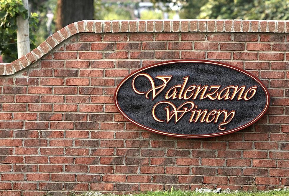 Valenzano Winery's WineFestNJ Is Back For 2023