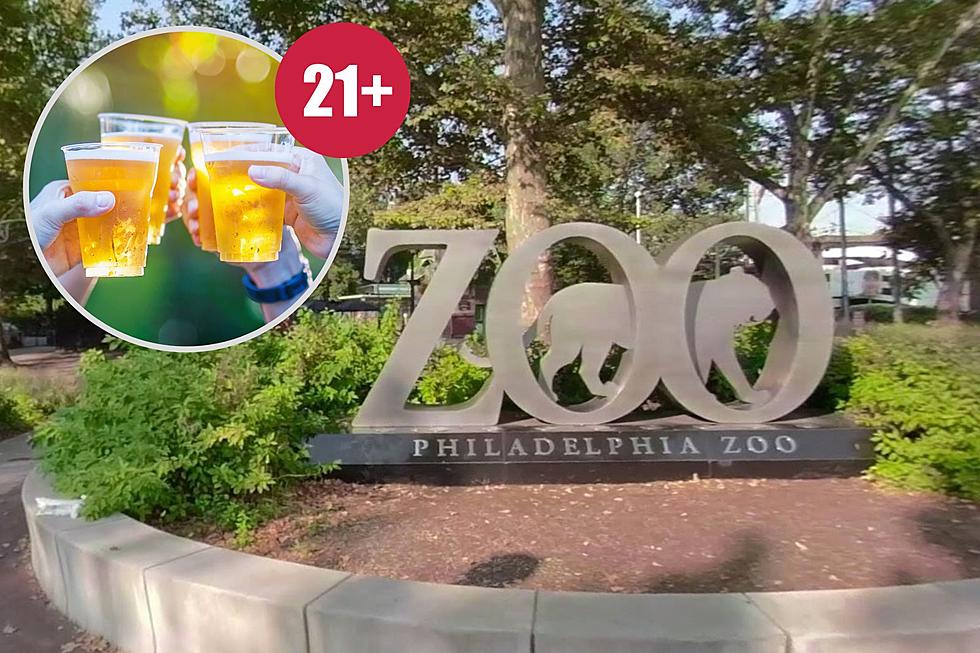 Philadelphia Zoo Summer Ale Fest 2023 Returns June 24