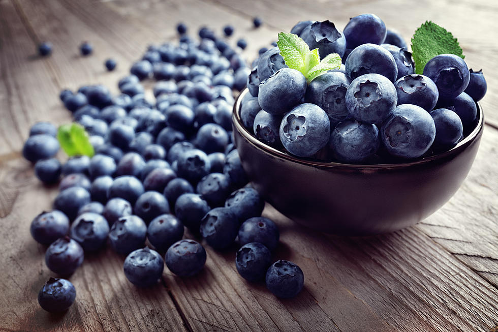 This Huge Blueberry Festival in Hammonton NJ Is a Must This Summer!