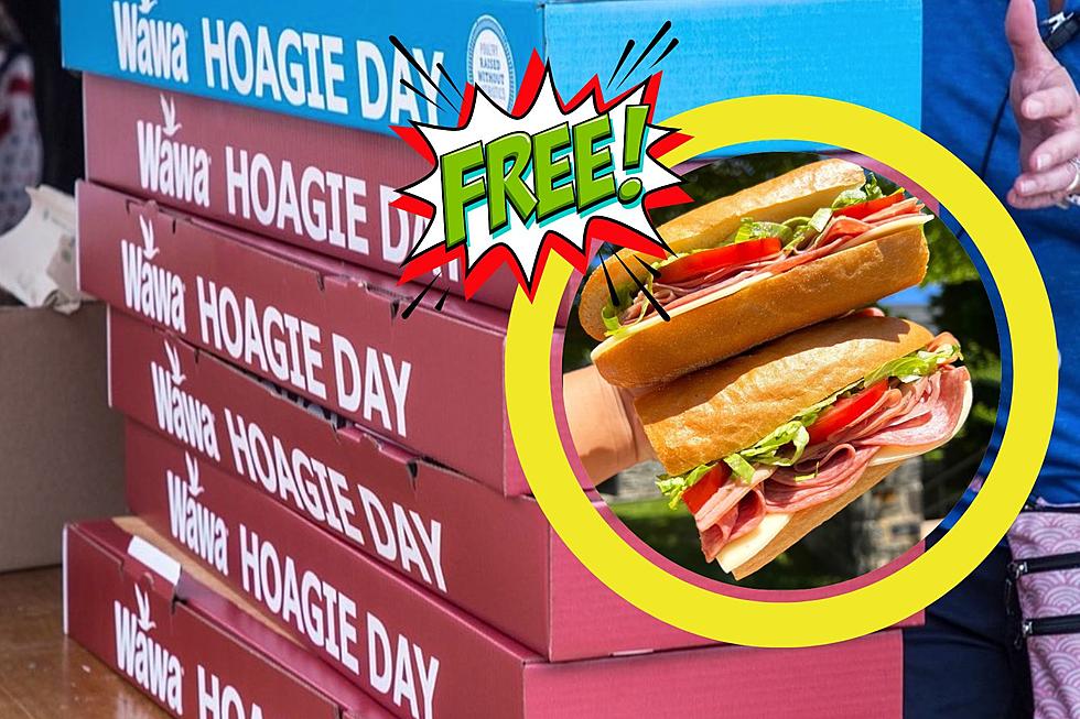 Here&#8217;s How You Can Get a FREE Hoagie on Wawa Hoagie Day 2023