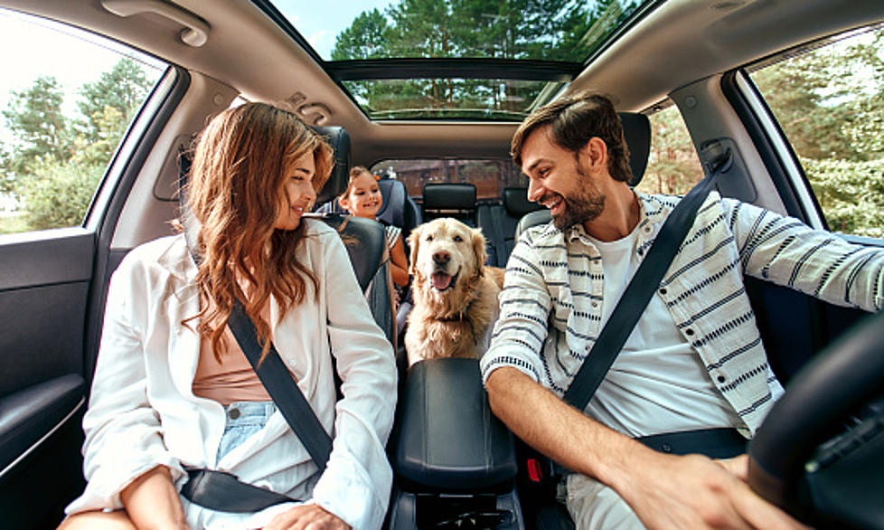 Is It Illegal in NJ to Leave Your Pets in the Car with the AC Running?