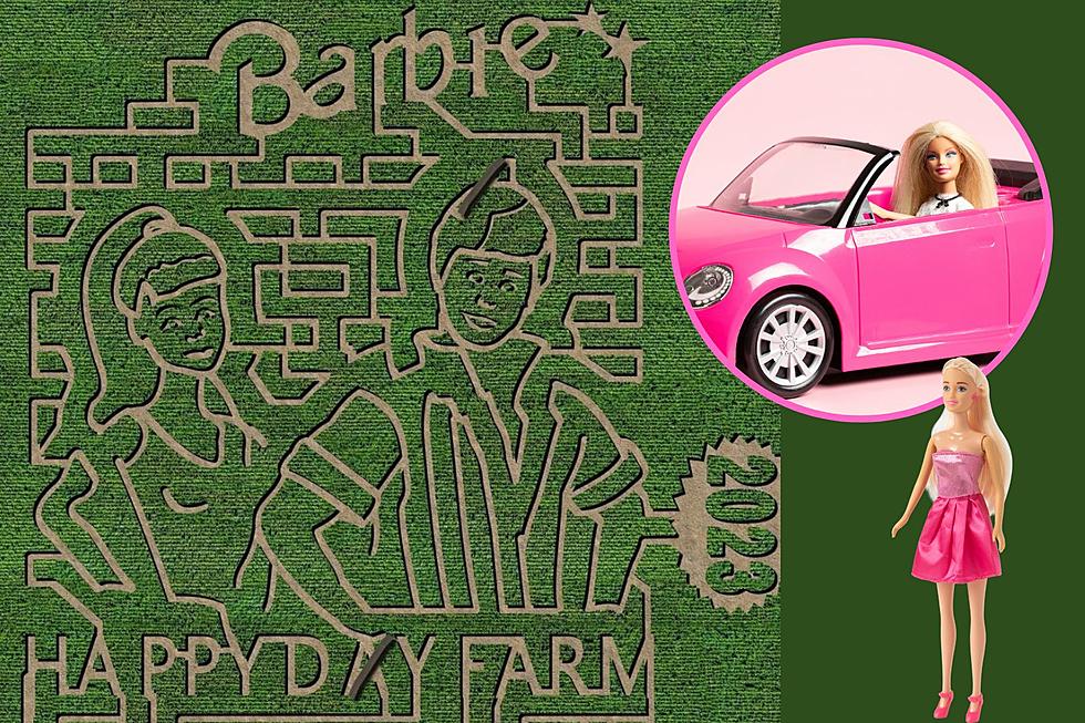 This 10-Acre Barbie Corn Maze Is Opening in New Jersey This Fall
