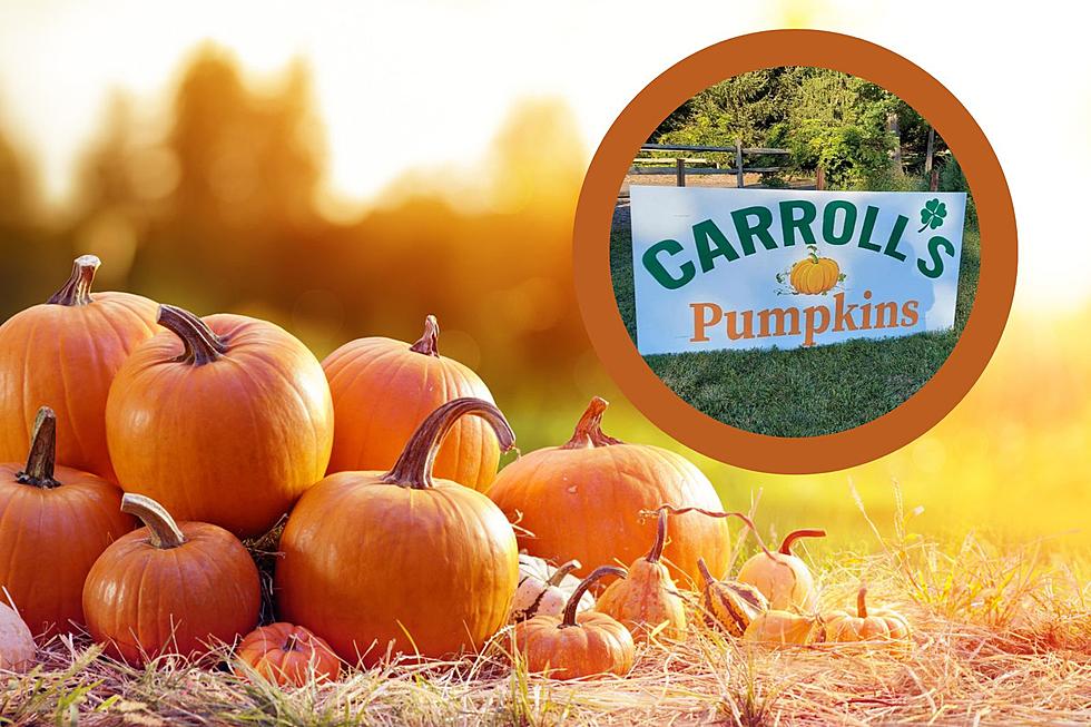 Here’s What’s New at Carroll’s Pumpkins in Lawrence, NJ for 2023