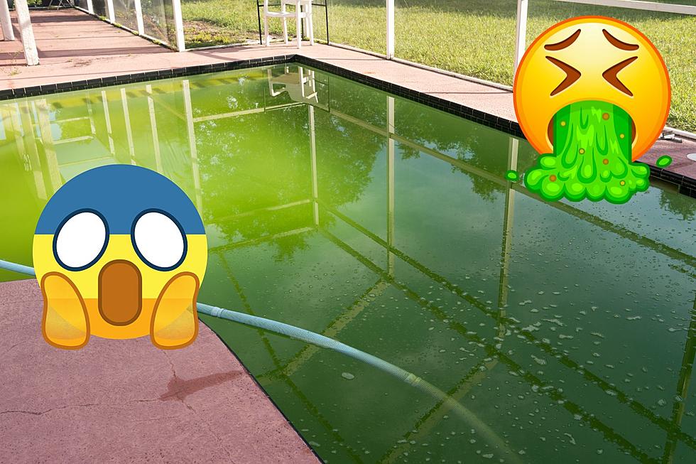 NJ Man Arrested For Dyeing Multiple Pools Green With Drone