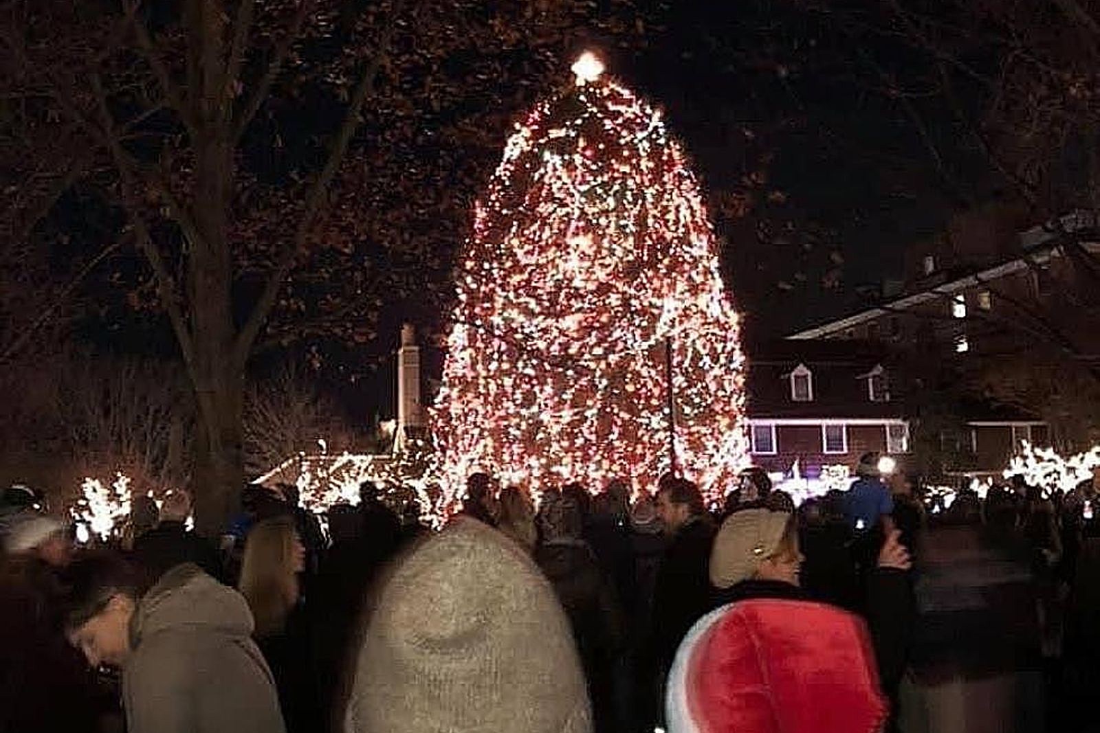 Annual Christmas Tree Lighting event set for Dec. 2