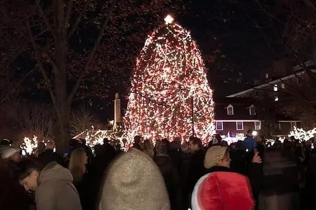 Date Set for Palmer Square Christmas Tree Lighting in Princeton, NJ