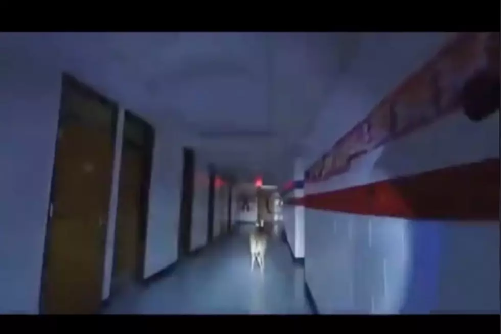 TikTok @copydan