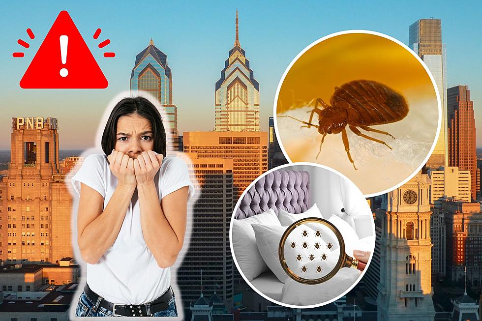This Pennsylvania City Ranks Among Worst in U.S. for Bed Bugs
