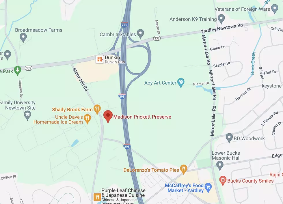 Google Maps