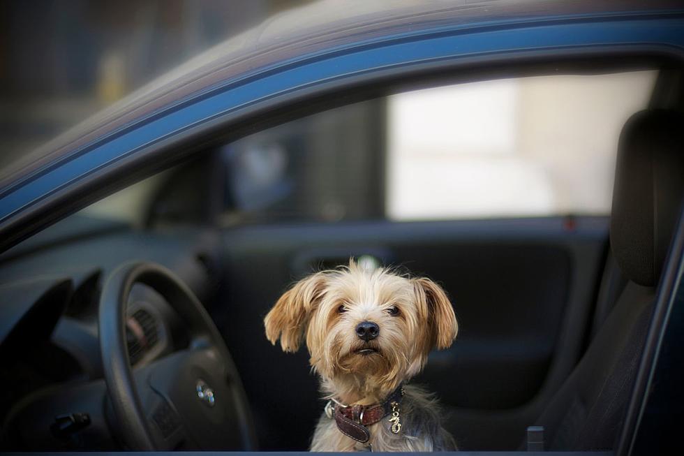 Get These 5 Items Out of Your Car Before a NJ Cold Snap