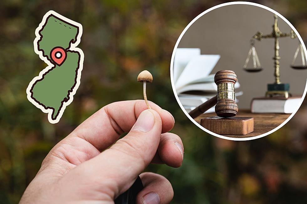 New Jersey Could Be the Next State to Legalize “Magic” Mushrooms