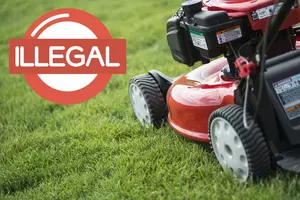 BEWARE: It’s Illegal to Mow Your Lawn in NJ Between These Hours