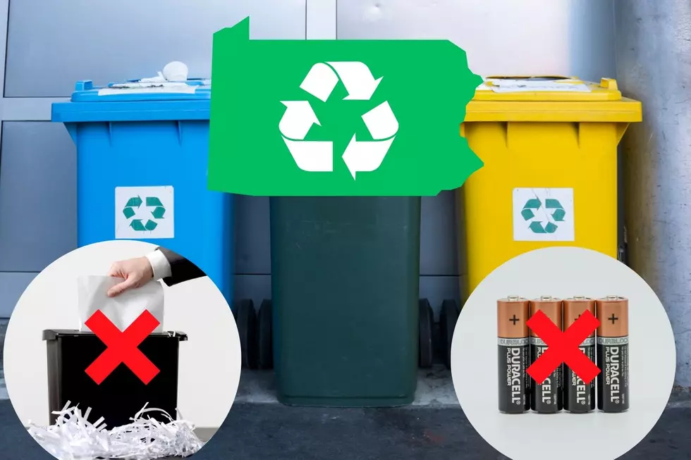 Here Are 9 Things You Should Never Leave Out in Your Recycling Bin in Pennsylvania