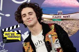 Casting Call! You Could Be an Extra in a Timothée Chalamet Movie...