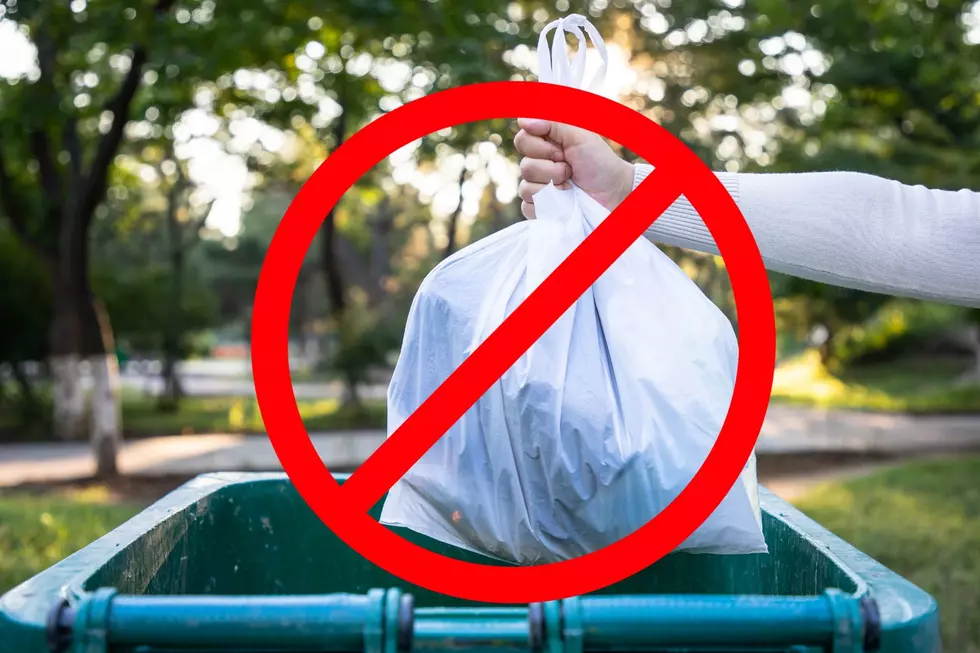 10 Items You’re Forbidden From Throwing In Your Trash in PA