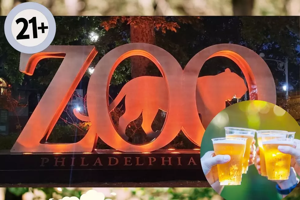 Lions and Tigers and BEER! The Philadelphia Zoo Summer Ale Fest Returns July 20!