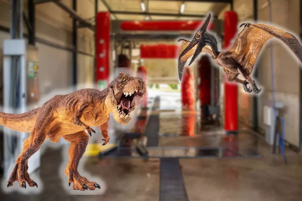 There’s A Dinosaur Themed Car Wash in New Jersey