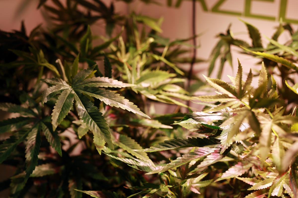 New Jersey’s First 4 Cannabis Consumption Lounges Are Now Open