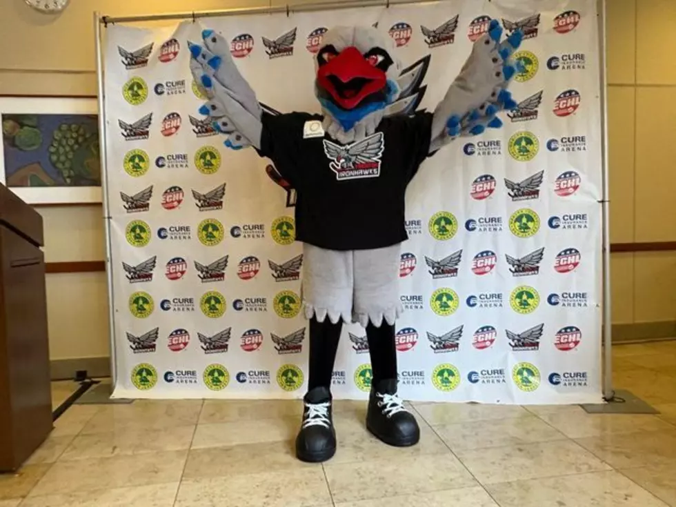 Trenton Ironhawks Ice Hockey Team Reveal New Mascot