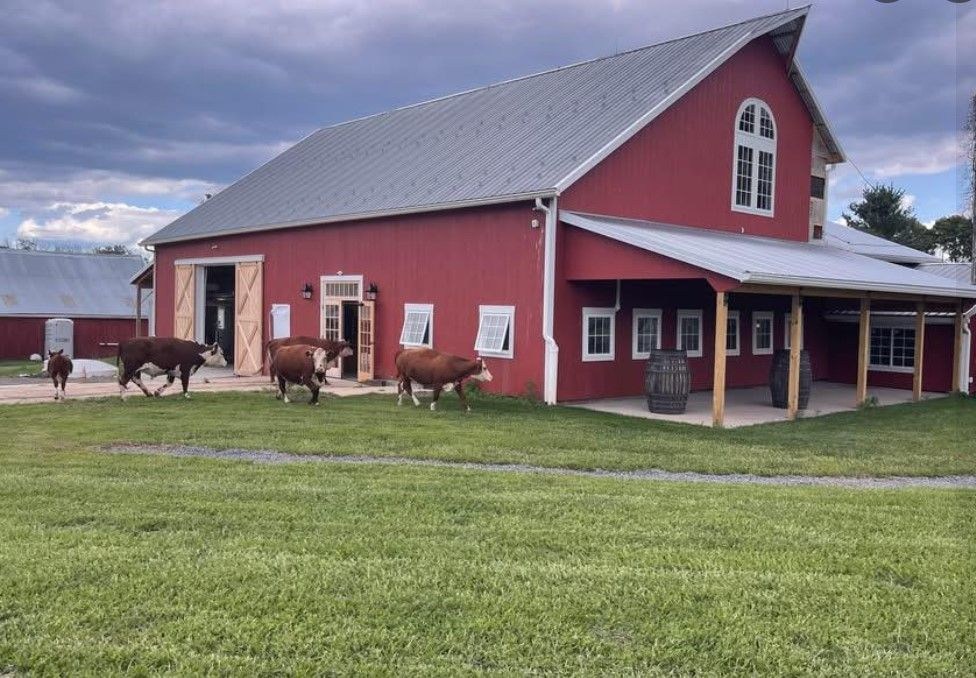 Girls Night Out at Needle Creek Farm Brewery in Pennington, NJ On July 23 news image