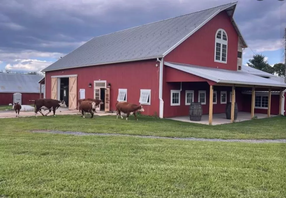 Girls Night Out at Needle Creek Farm Brewery in Pennington, NJ On July 23