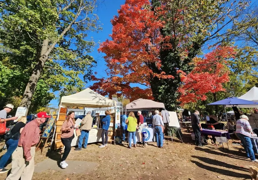 Music, Vendors, Food & Fun At Fall Arts Festival Saturday in Lawrenceville, NJ