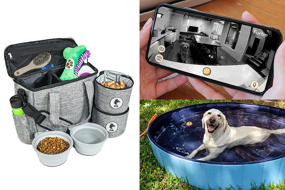 Five Items You and Your Dog Will Love