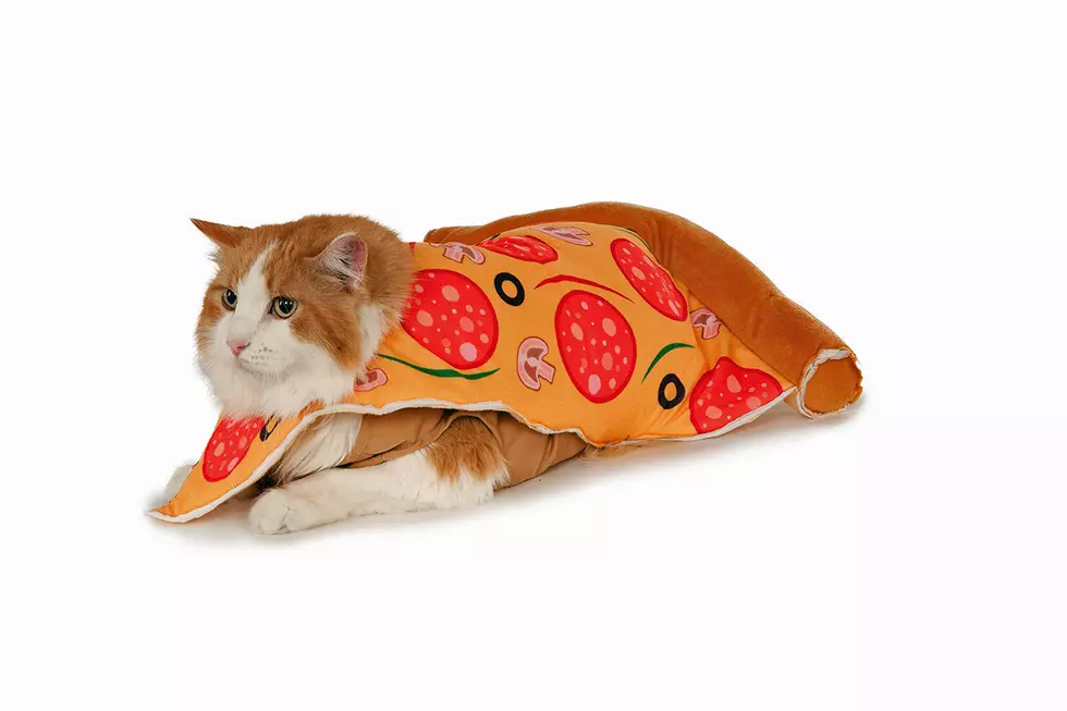 5 Things Every Pizza Lover Needs In Their Life