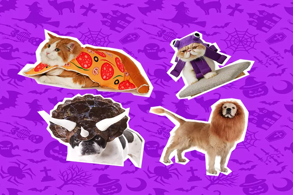12 Howl-Worthy Pet Costumes for any Dog or Cat