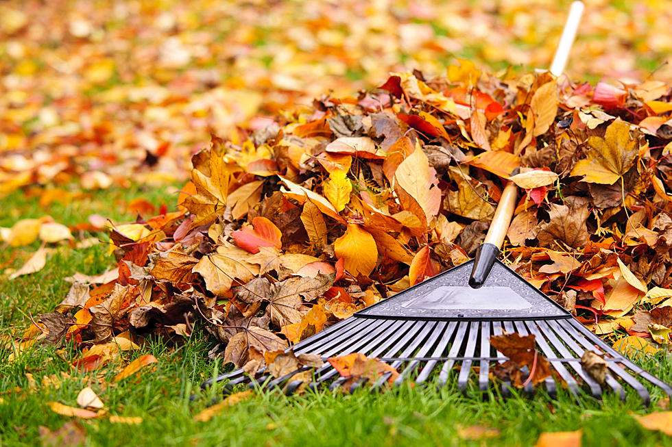 Make Fall Yard Clean Up A Breeze With These Handy Tools