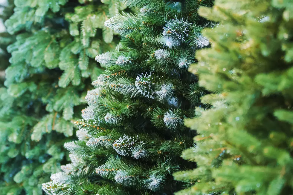 Here’s where you can recycle your Christmas tree in Ocean County, NJ