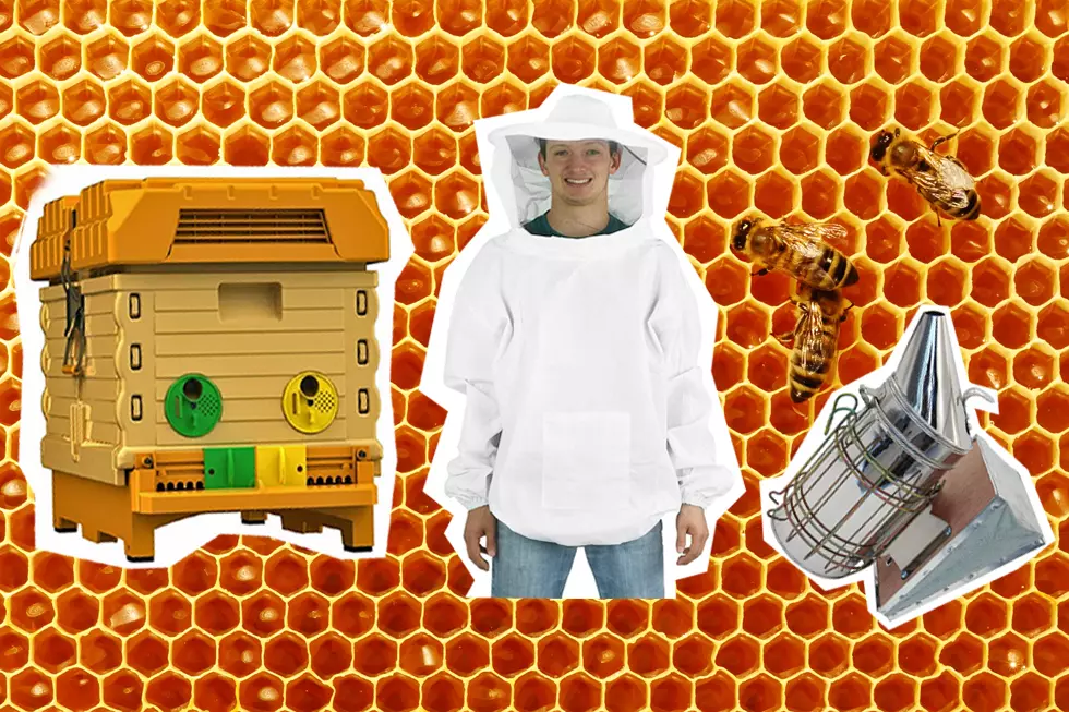 Beekeeping Essentials that Everyone&#8217;s Buzzing About