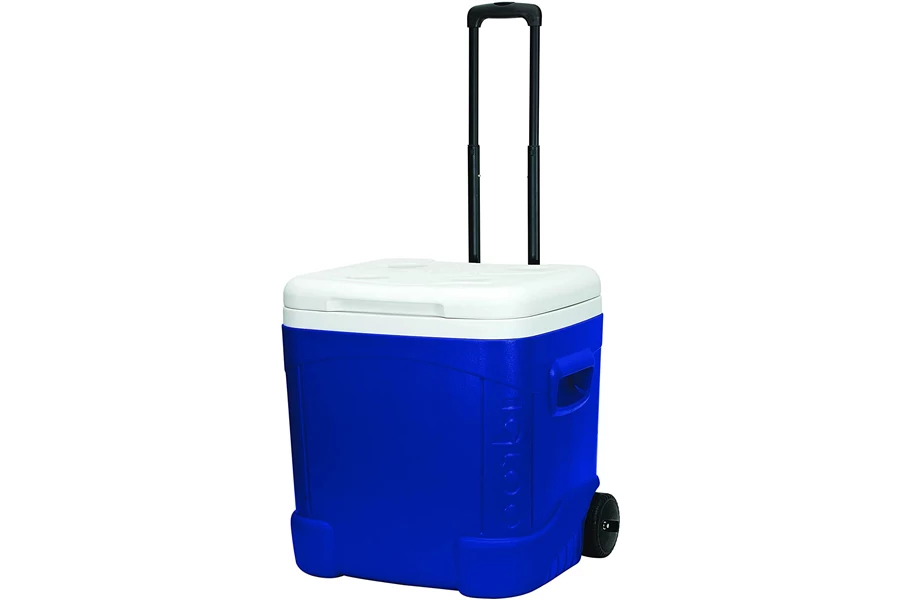 Chill Out With the Best Coolers and Ice Chests