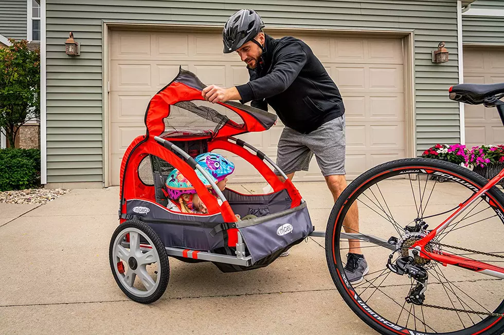 The Best Rated Bike Trailers for Kiddos and Pets