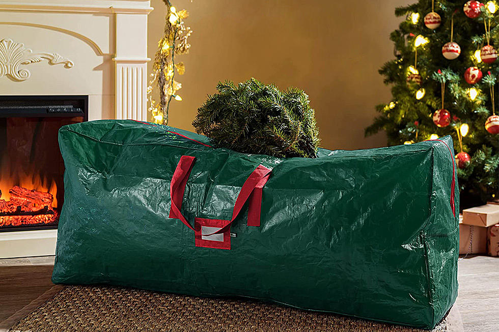 The Top-Rated Christmas Tree Storage Bag on Amazon