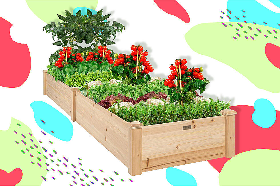 9 Buys You Need to Prep Your Garden Right This Season