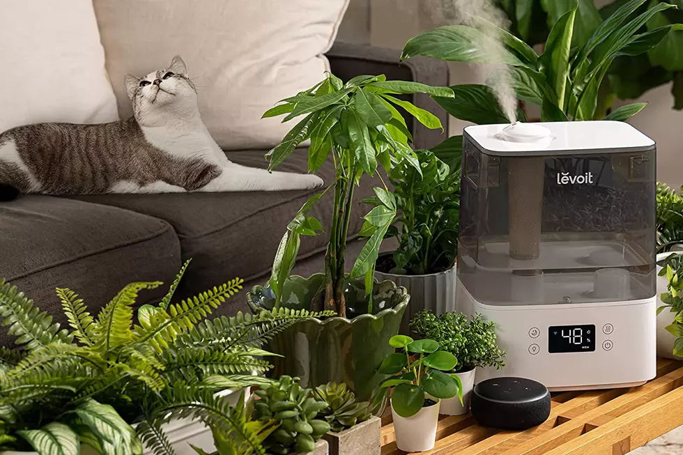 Amazon’s Best Selling Humidifier