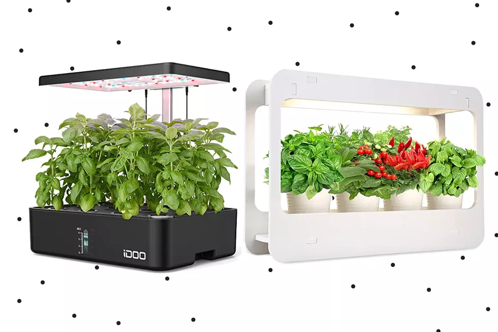 Amazon’s Best Indoor Gardening Supplies