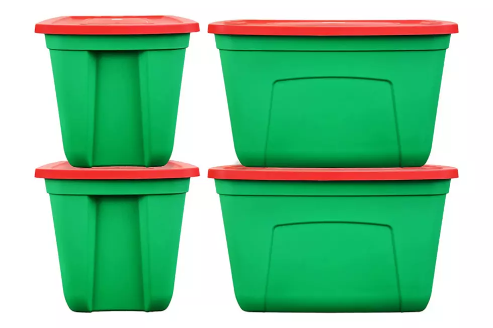 SimplyKleen Large Storage Bins with Lids, 4-pk –