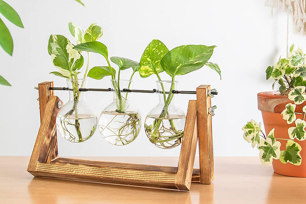 Gift Guide For Plant Lovers