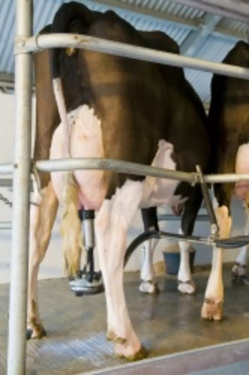 Idaho No Longer Member of Top Three Milk Producers